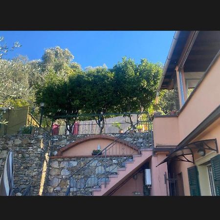 Il Gabbiano Di Pieve Bed and Breakfast Pieve Ligure Eksteriør billede