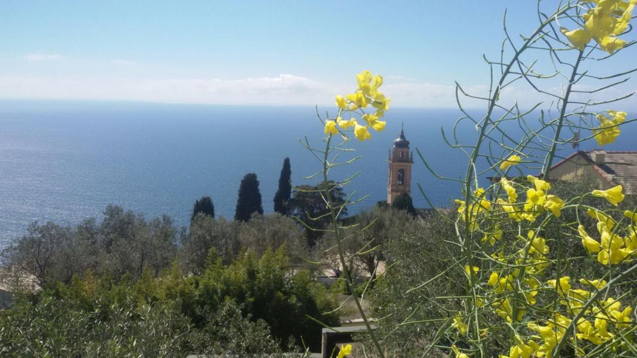 Il Gabbiano Di Pieve Bed and Breakfast Pieve Ligure Eksteriør billede