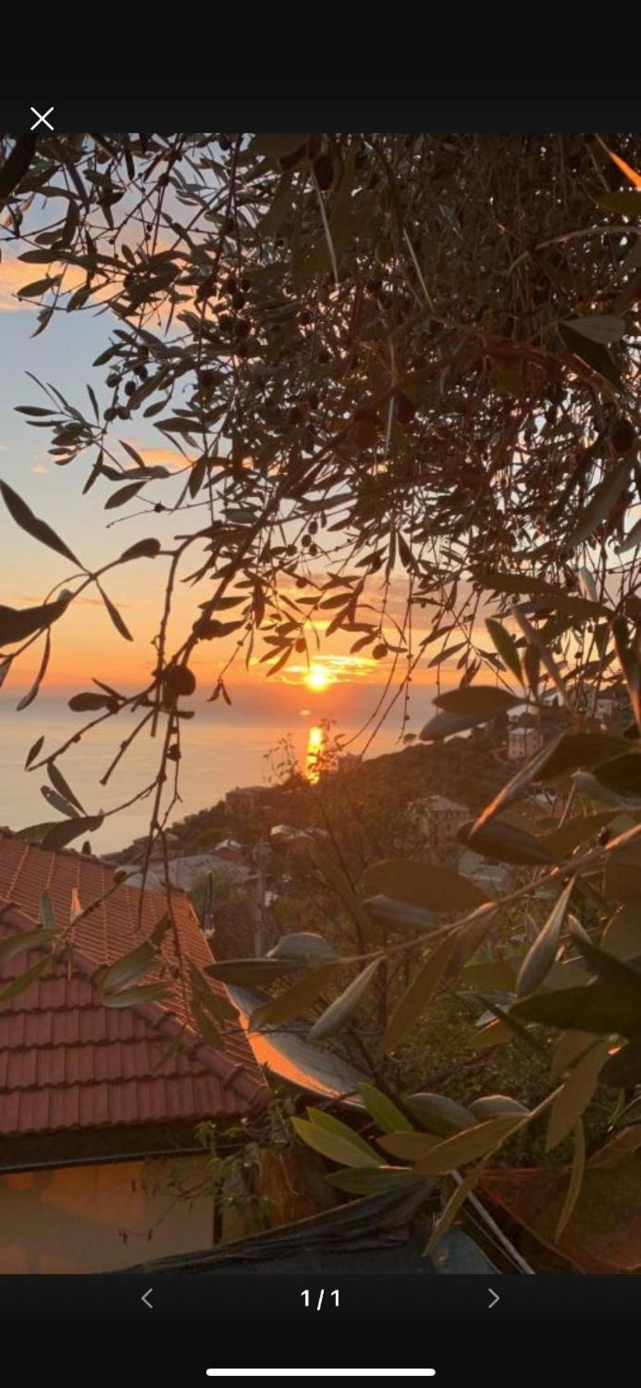 Il Gabbiano Di Pieve Bed and Breakfast Pieve Ligure Eksteriør billede