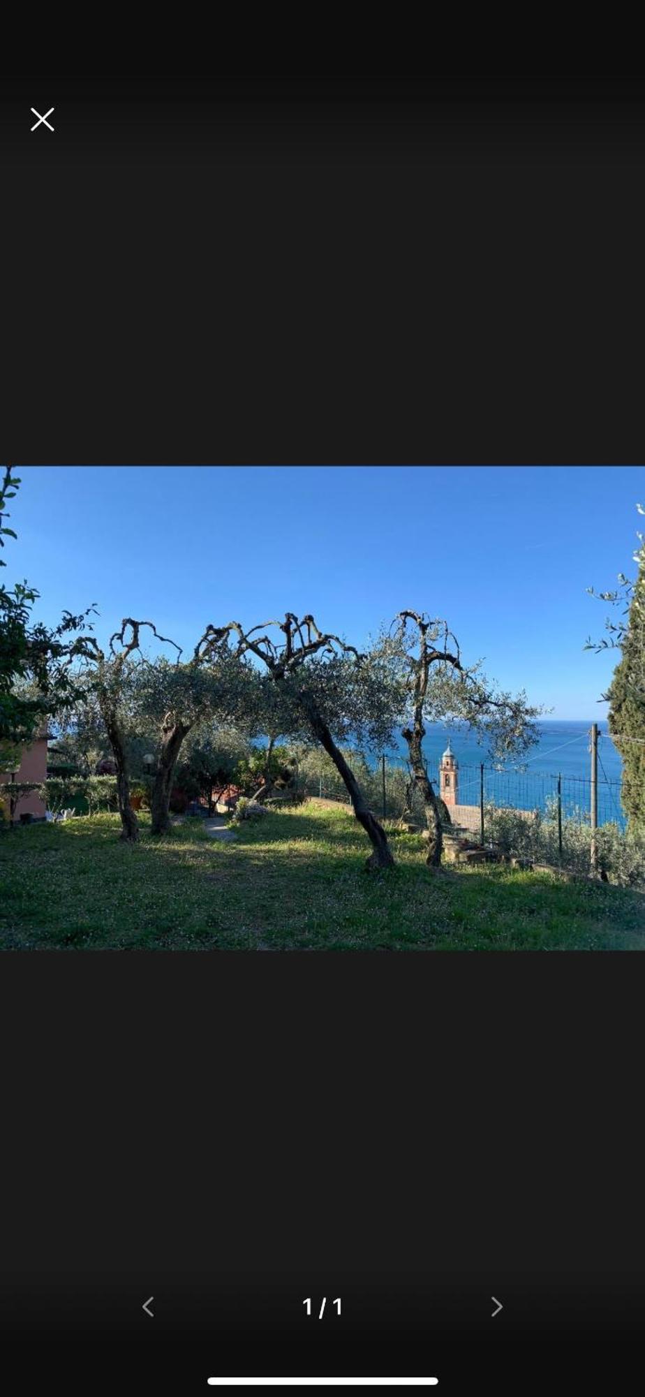 Il Gabbiano Di Pieve Bed and Breakfast Pieve Ligure Eksteriør billede