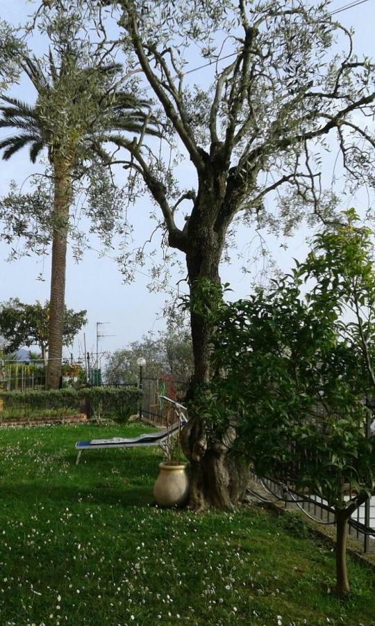 Il Gabbiano Di Pieve Bed and Breakfast Pieve Ligure Eksteriør billede